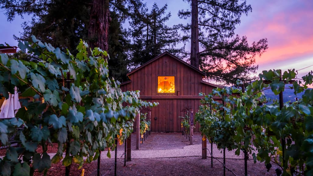 Sequoia Grove Winery Commits $35,000 To Save The Redwoods League