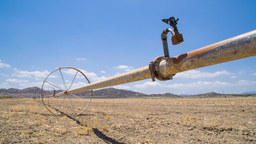 Hundreds of Thousands of Prime CA Farmland Acreage Fallowed this Year Due to Drought