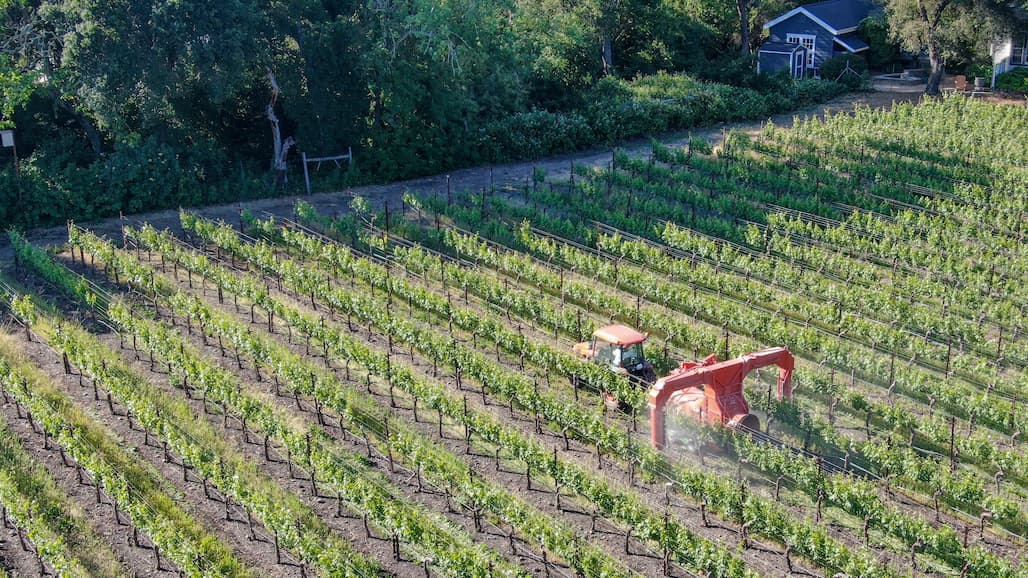 Growers Petition for a Sonoma County Winegrape Pest & Disease Control District