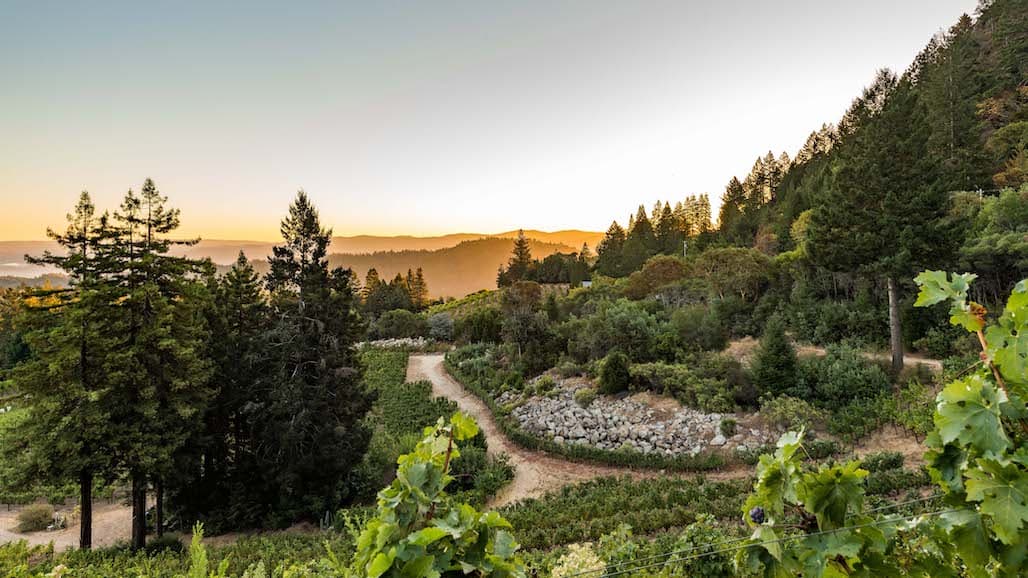 VGS Chateau Potelle Makes Napa Valley History