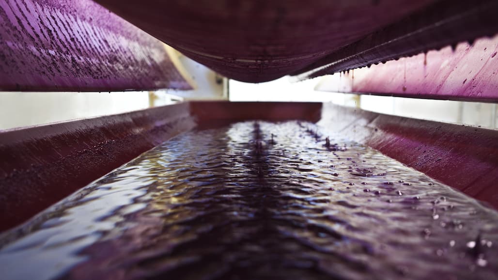 Texas Crush Report and Vineyard Production Survey Now Open