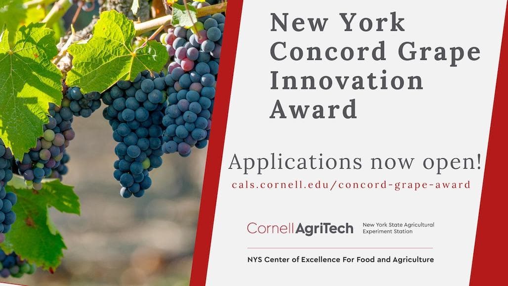 Concord Grape Innovation Contest Offers $100K in Prizes