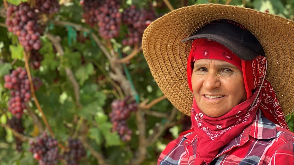 California Goodness Campaign Highlights Pride in Growing Table Grapes