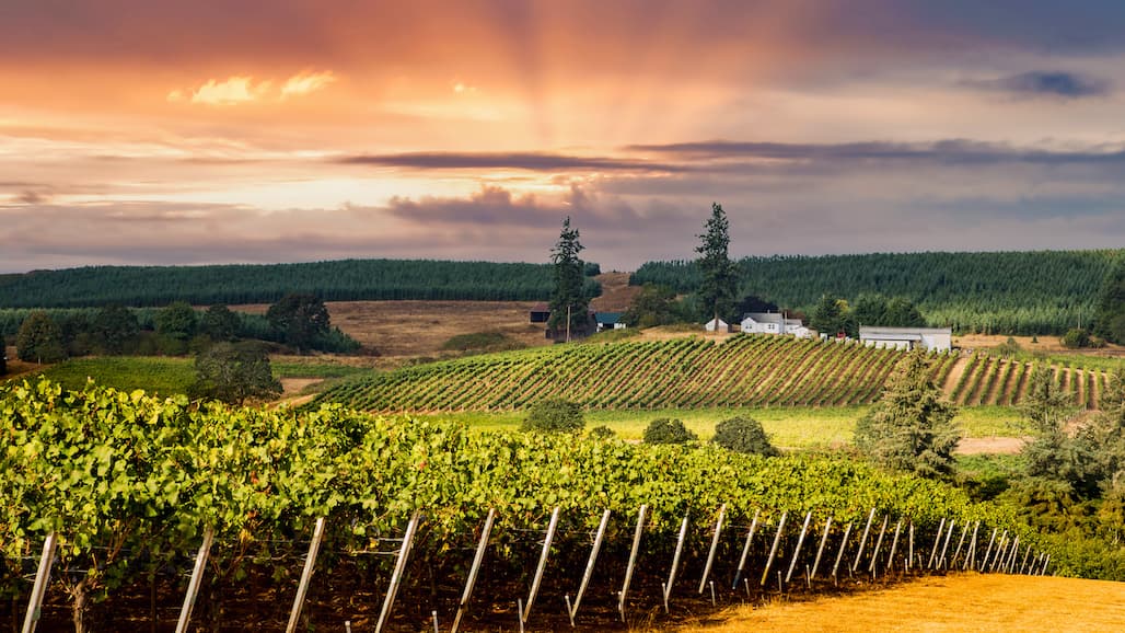 Update on HiRes Vineyard Nutrition Trials in Oregon