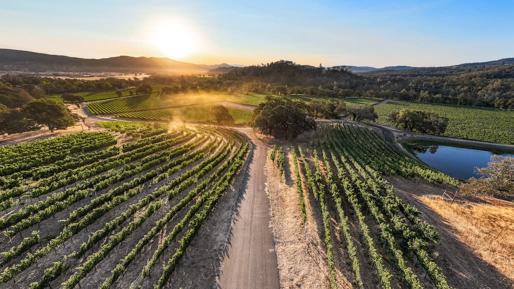 The PlumpJack Collection of Wineries Announces Acquisition of Napa’s Oso Vineyard