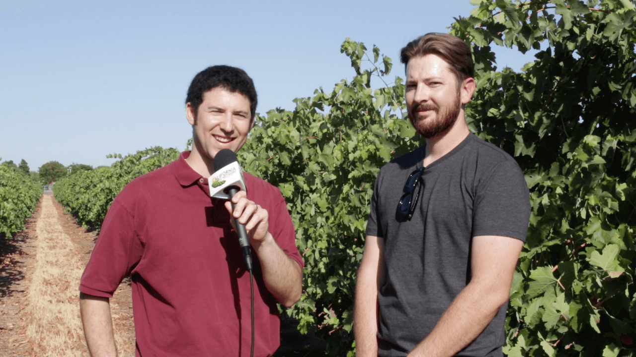 Organic Raisin Grower Shares Methods for Improving Soil Health & Moisture Retention