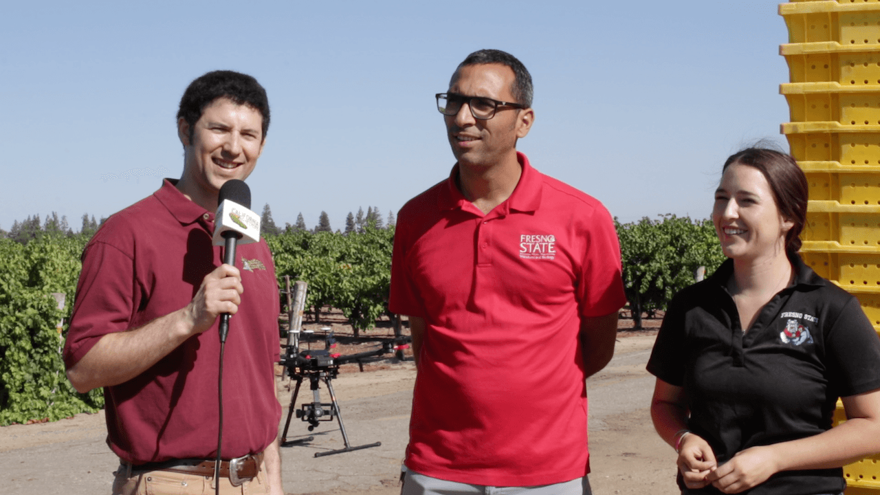 Using Hyperspectral Imaging to Detect Grapevine Water Stress