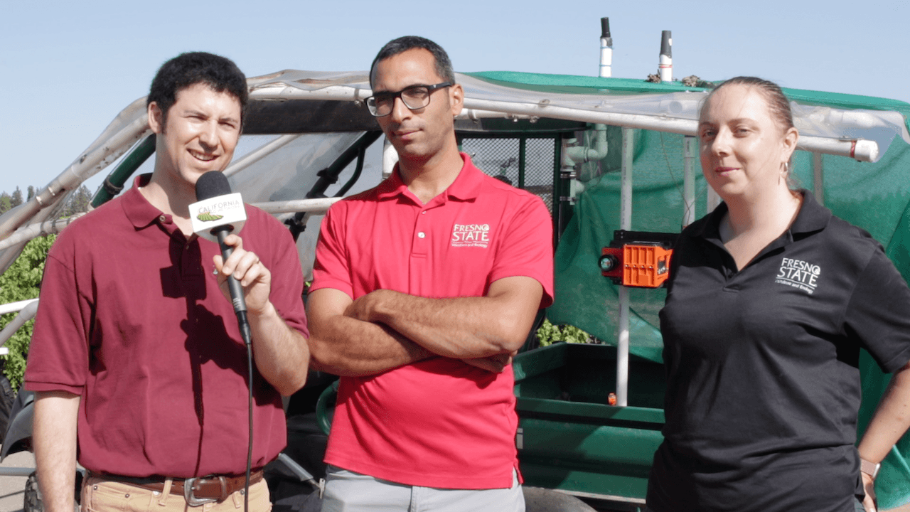 Fresno State Researchers Speed Up Grape Composition/Maturity Monitoring Process