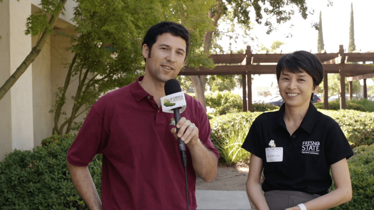 Revitalizing Winery Wastewater in the Vineyard by Cover Cropping
