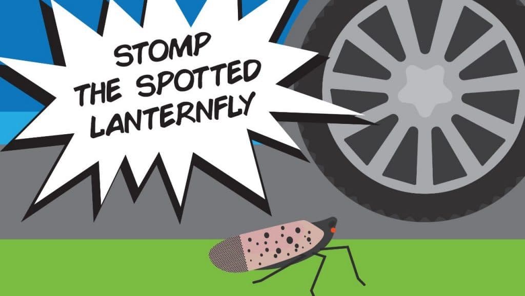 Stomp the Spot(ted Lanternfly) Movement