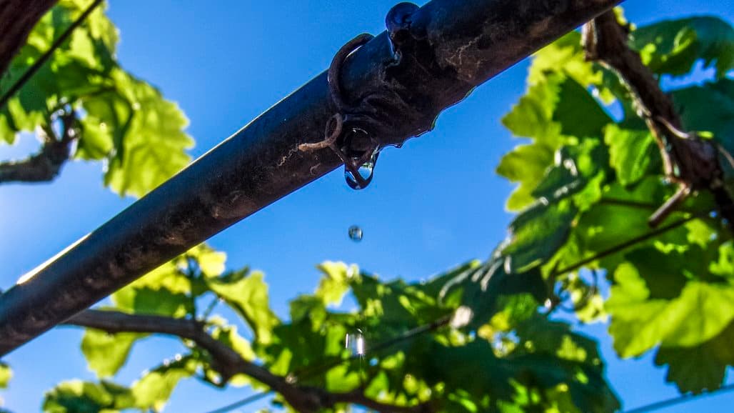 Beyond Drip Irrigation: Meeting Demands for Water Efficiency