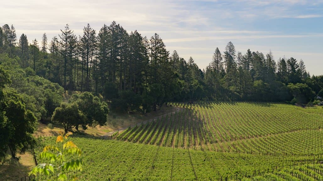 Napa Valley’s Neal Family Vineyards Achieves Regenerative Organic Certification