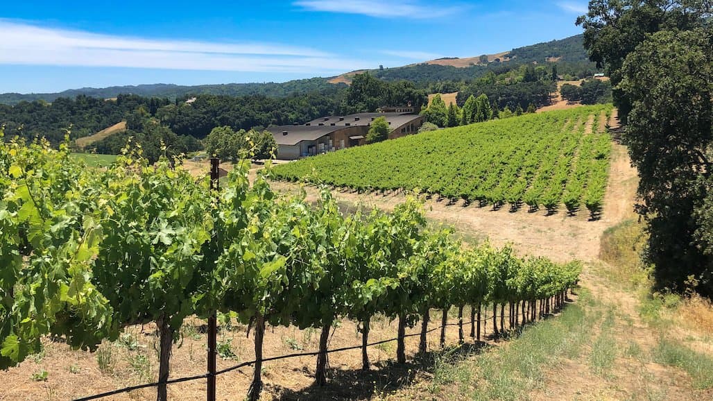 E. & J. Gallo Winery Announces Acquisition Of Denner Vineyards In Paso Robles Ava