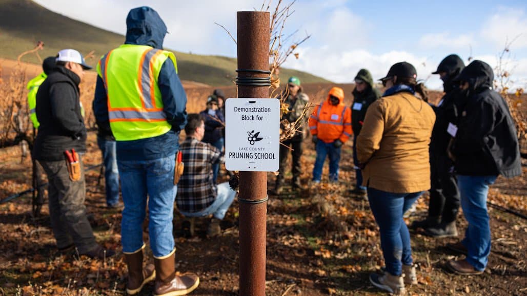 Lake County Winegrape Commission Awarded Grant Supporting Pruning School