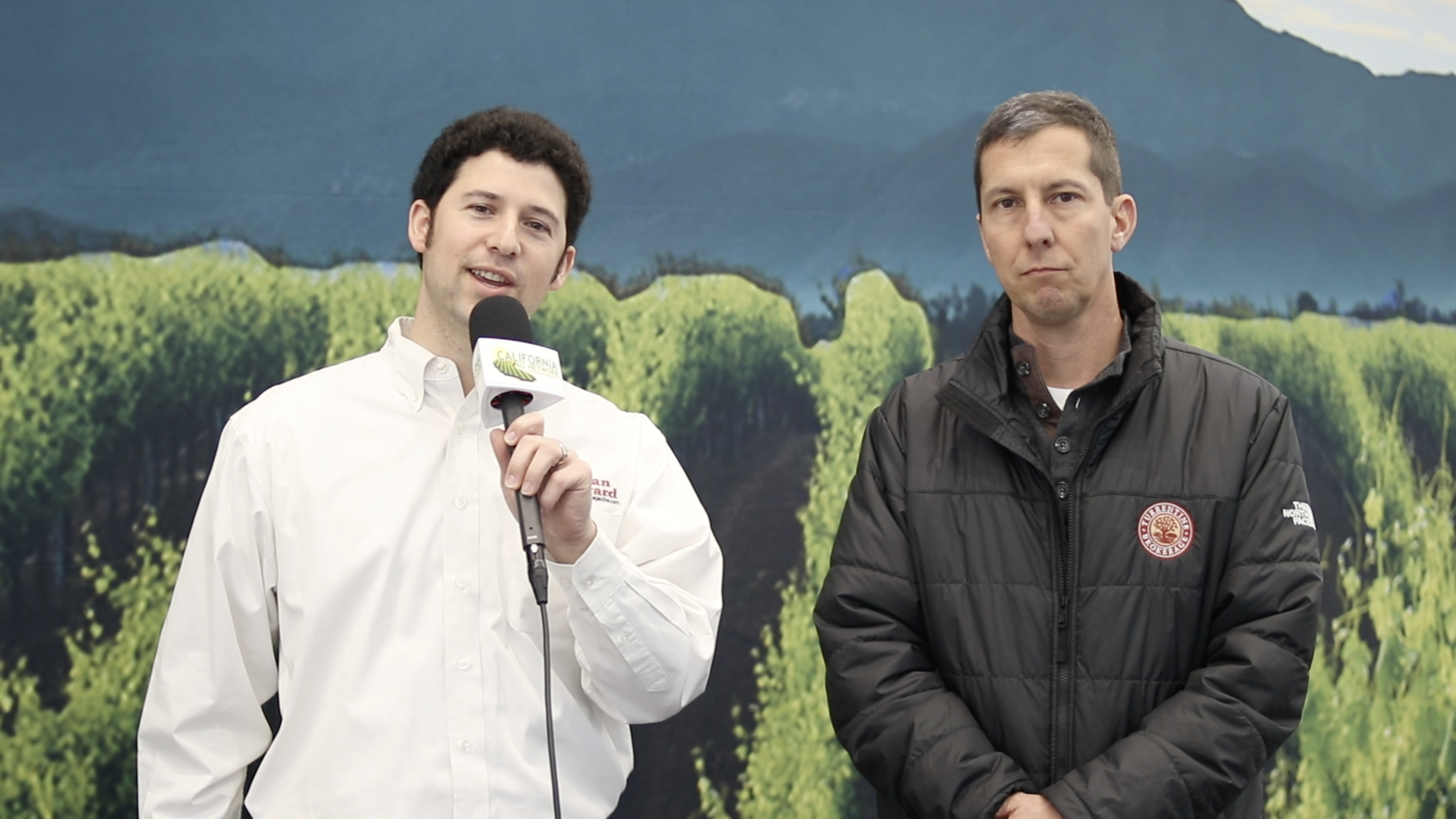 What To Know About the Central Valley Wine Market Heading Into a New Season