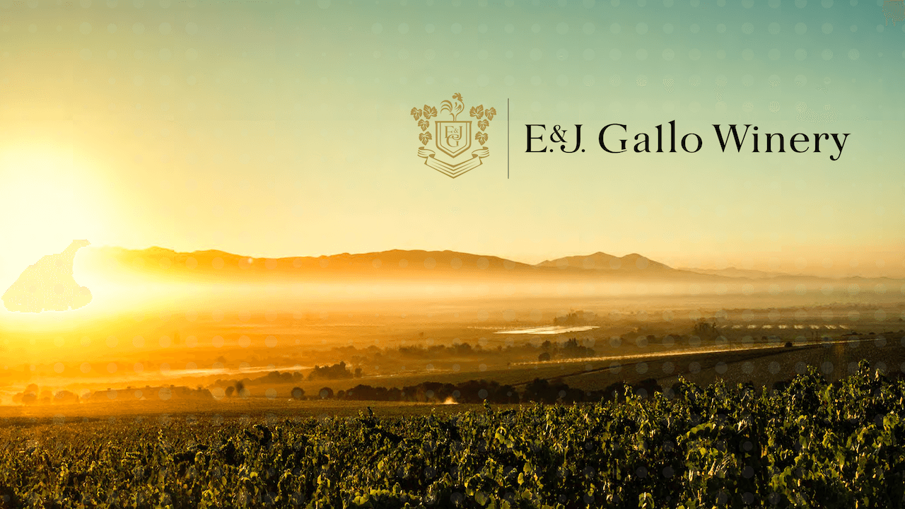 E. & J. Gallo Winery Continues Sustainability Leadership And Innovation