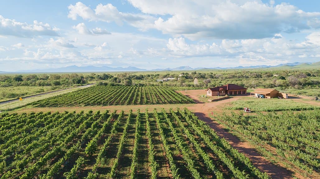 Arizona’s Sonoran Wines Releases New Mourvèdre Red, Hosts Wine Tasting Event
