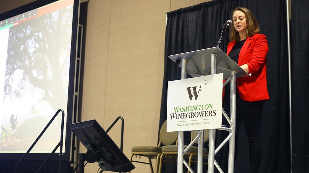 WSU Dept. of Viticulture and Enology Outlines Future