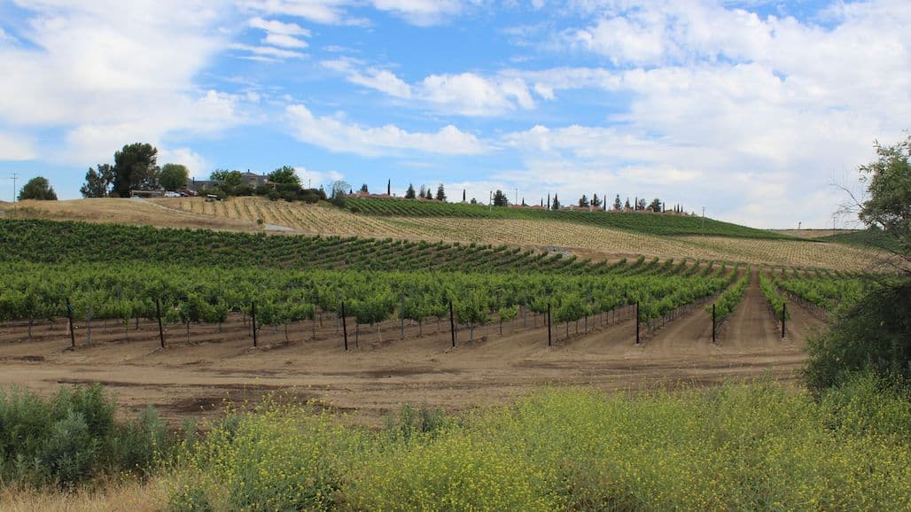 Ohio State Extension Viticultural Update