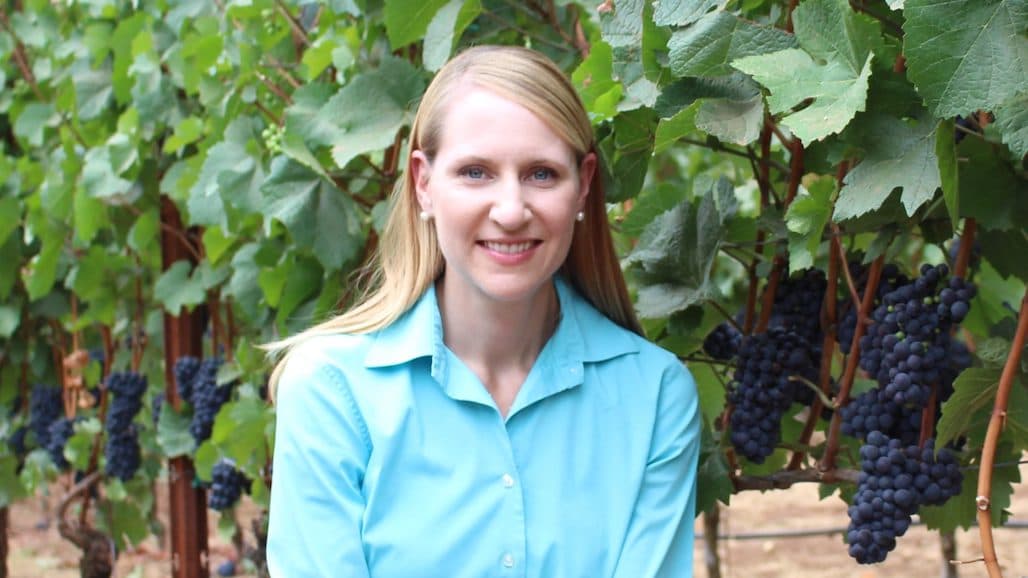 Vineyard Yield Management Research Past, Present and Future