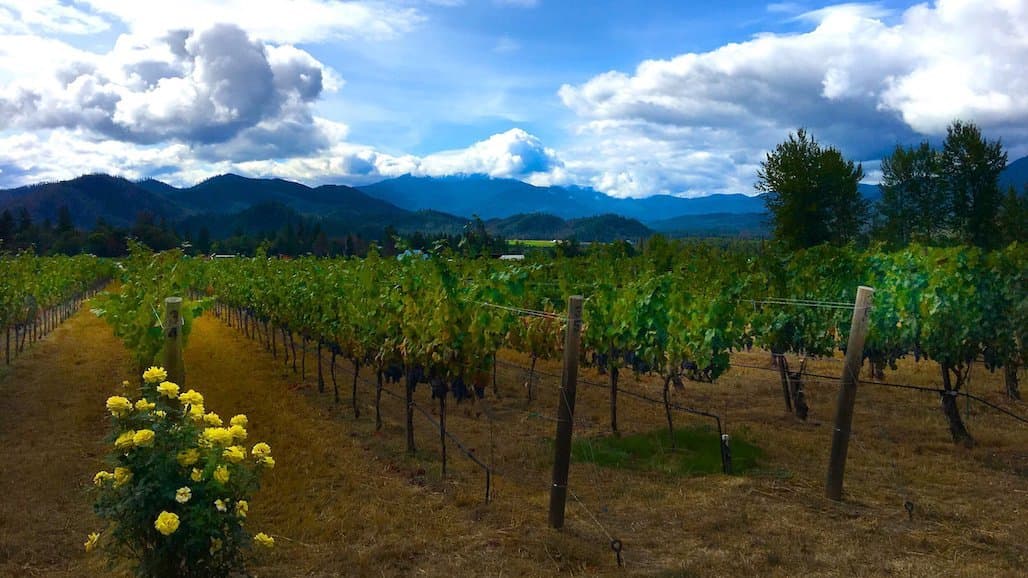 New Podcast Explores Intricacies of Regenerative Organic and Biodynamic Farming