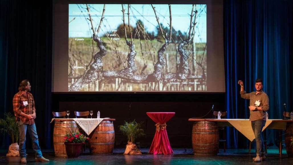 Lake County Winegrape Commission Announces Second Year of Pruning School