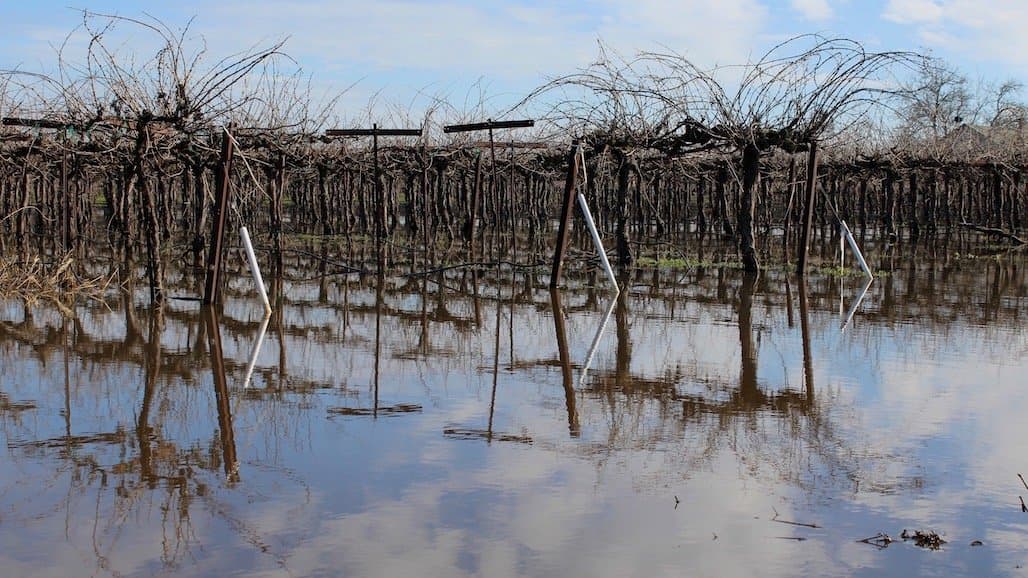 USDA Disaster Program Flexibilities for Flood-Impacted Northeastern Vineyards, Farms