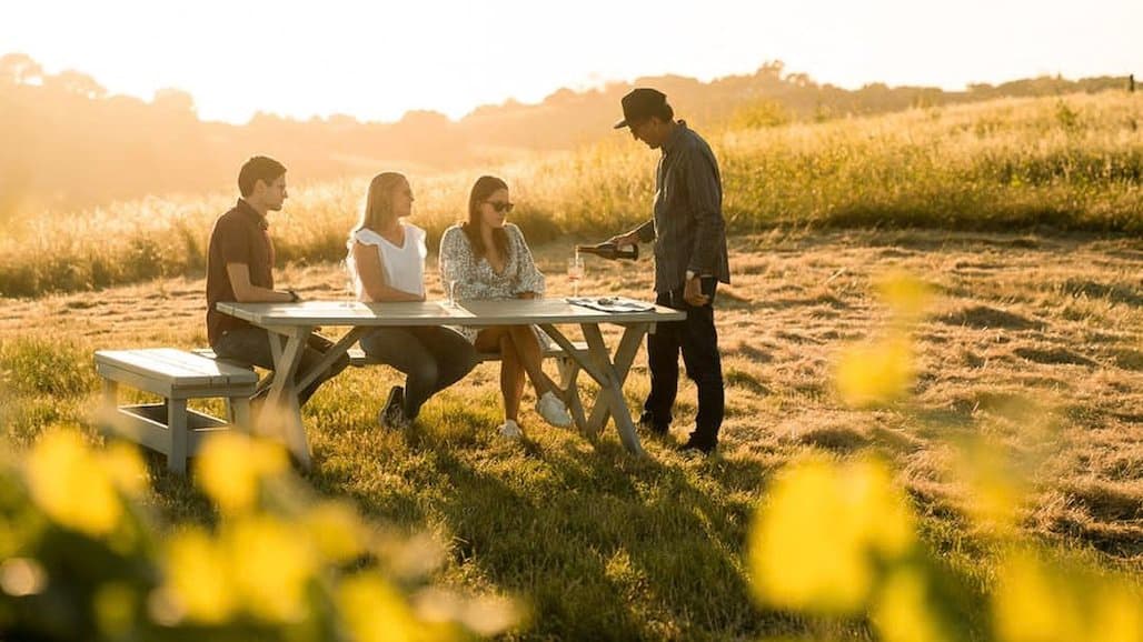 Tell Your Sustainable Wine Grape Growing Story, 30-min. Course