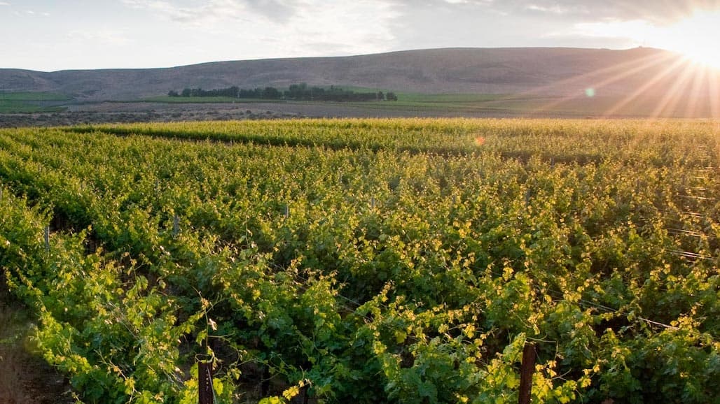 Washington Wine Industry Foundation Fundraiser Showcasing Extraordinary Red Wine Blend