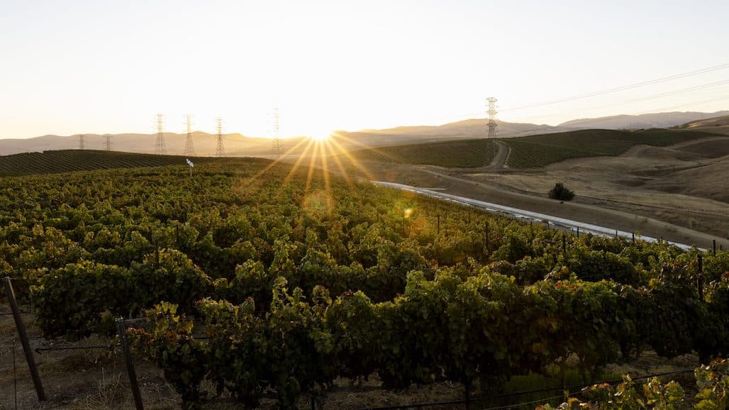 Wente Family Estates Elevates DTC and Customer Experience Teams With Senior Level Hires
