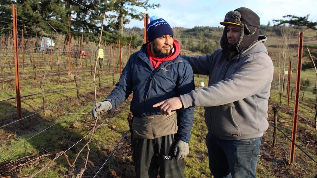 Washington Winegrowers Announces Latino Agriculture Education for Viticulture Program