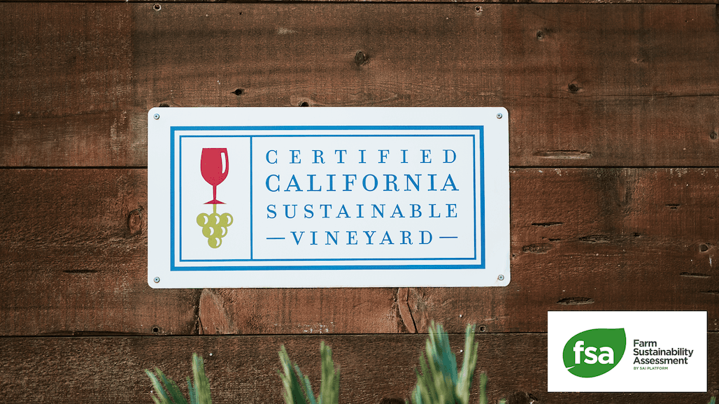 Certified California Sustainable Winegrowing Achieves Highest Level Equivalence in Global Sustainable Ag Benchmark