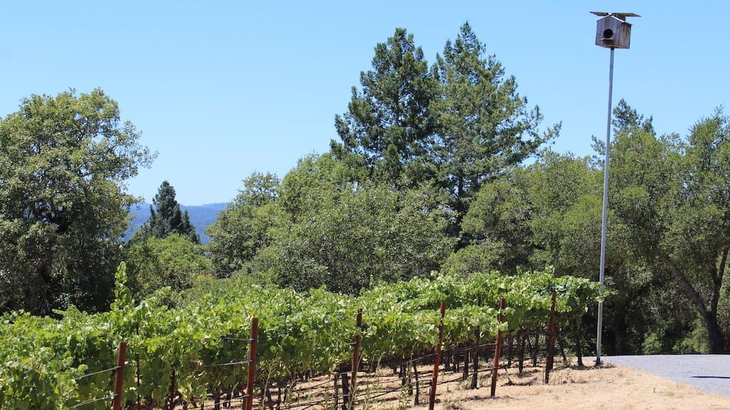 CAWG Awarded CalAgPlate Grant for Owl Box Construction