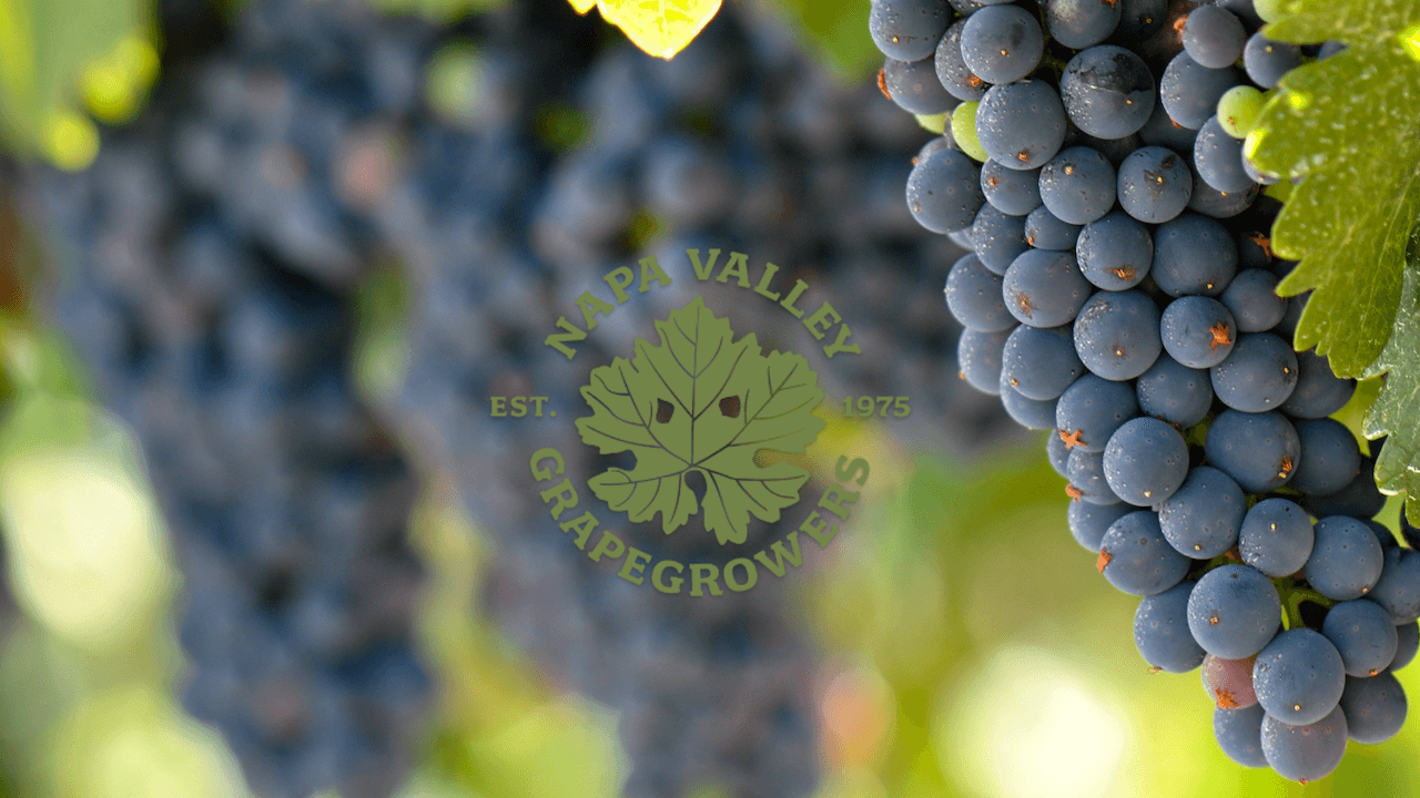 Napa Valley Grapegrowers 2024 Board of Directors and New Officers