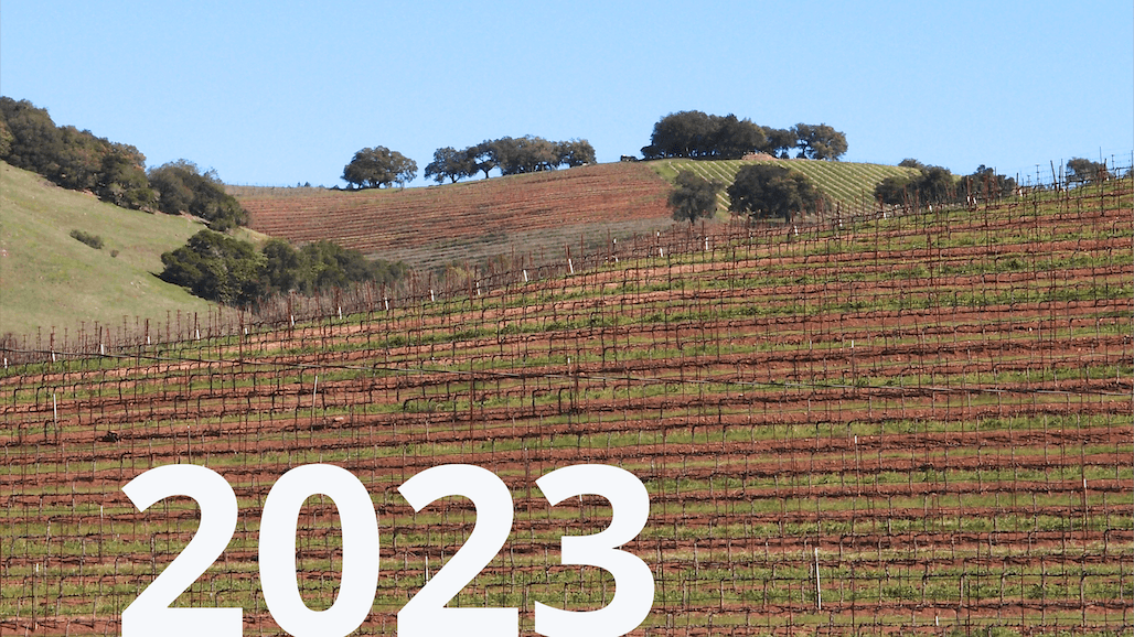 Preliminary 2023 Grape Crush Report Reveals Slight Increase from 2022