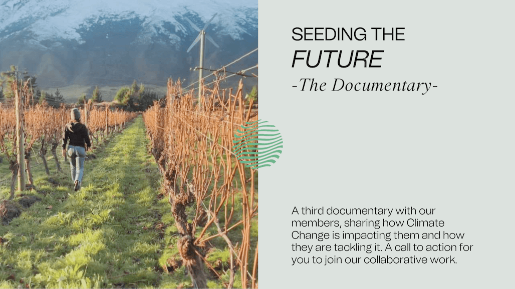 “Seeding the Future Documentary Addresses Impact of Climate Change on Wine Industry