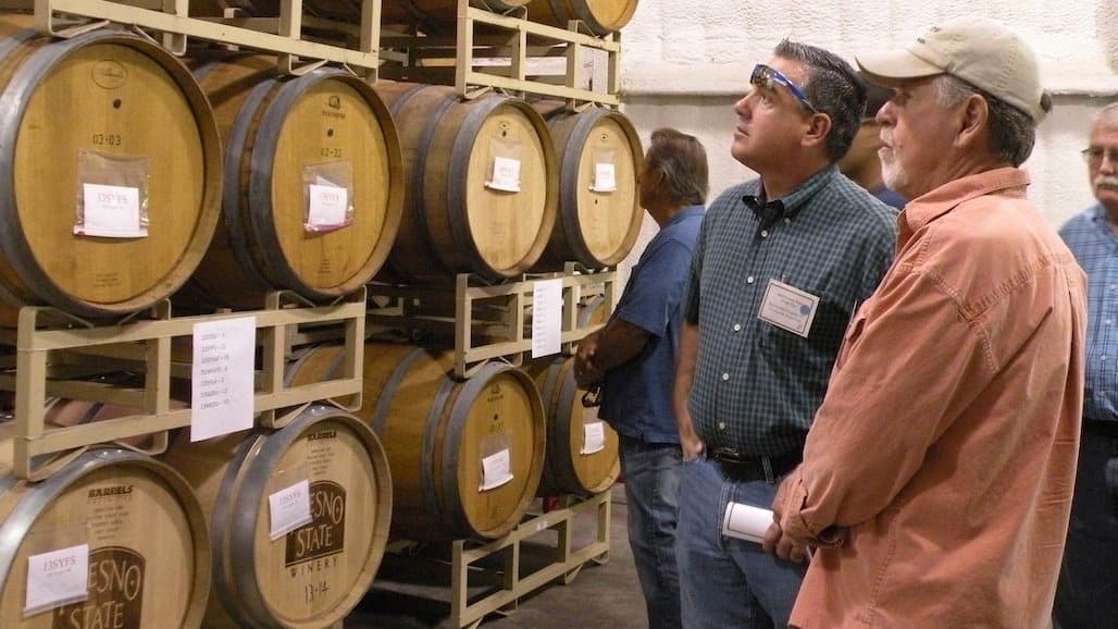 Fresno State Jordan College Uncorks New Wine Business Degree