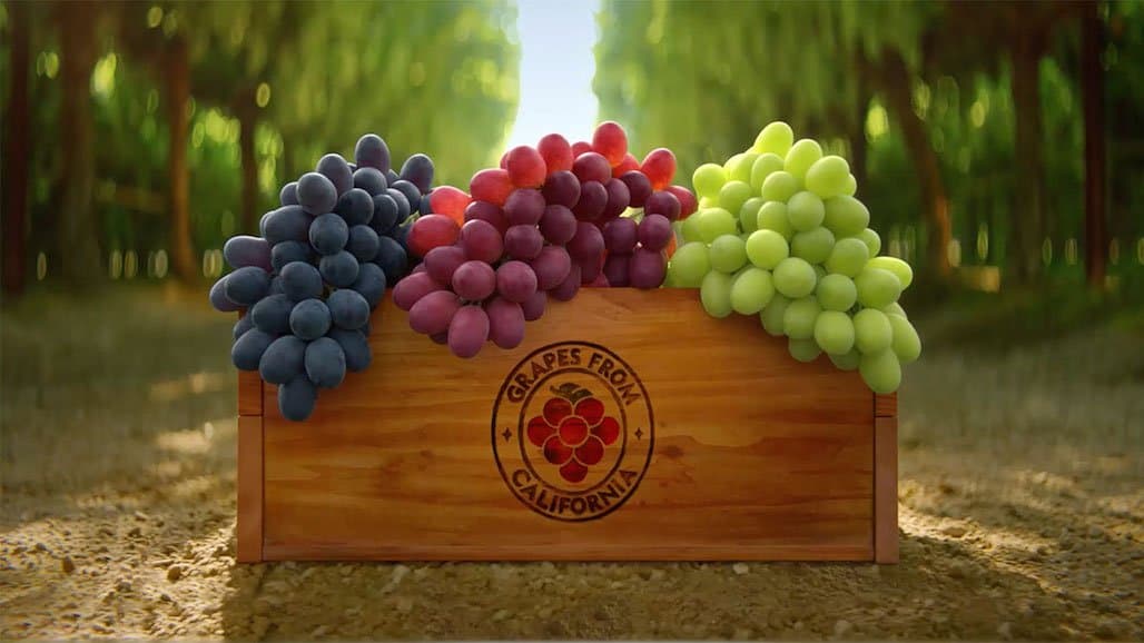 Scholarships Awarded by California Table Grape Growers