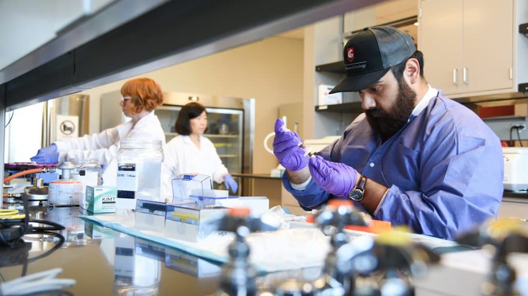 WSU Wine Science Dept. to Debut New Curriculum in Fall 2024