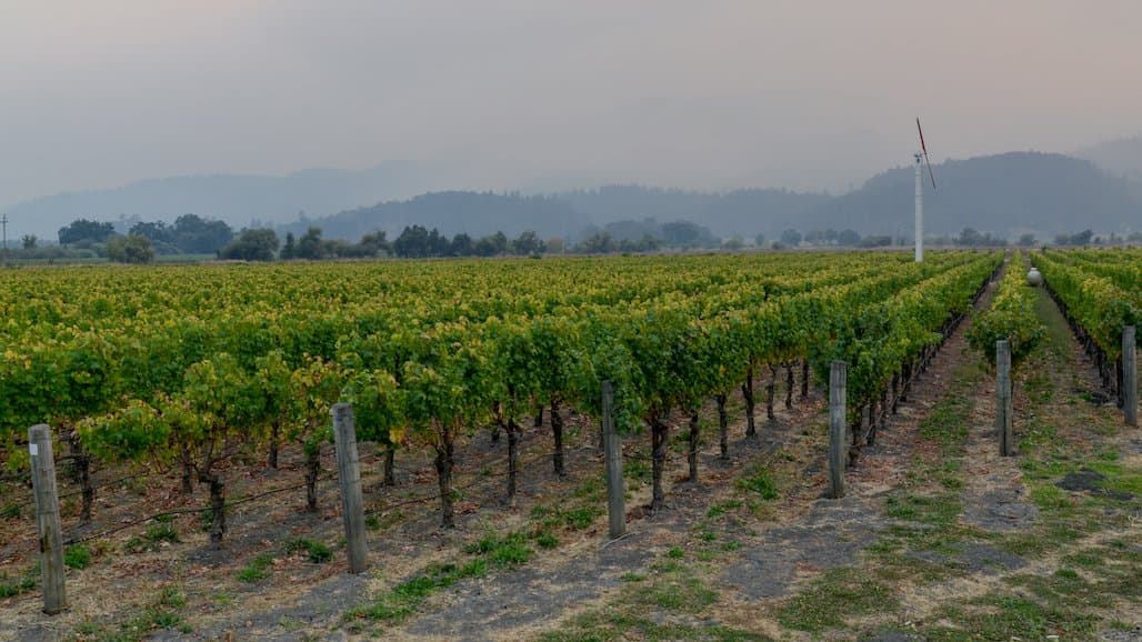 West Coast Smoke Exposure Task Force Launches Comprehensive Website for Wine Industry