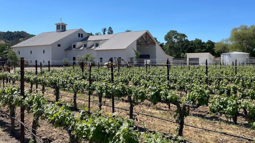Bucking Market’s Downward Trend: Arrow&Branch Opens New Napa Valley Winery