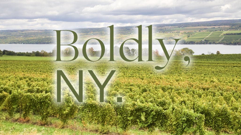 New York Wine & Grape Foundation Appoints New Board Members