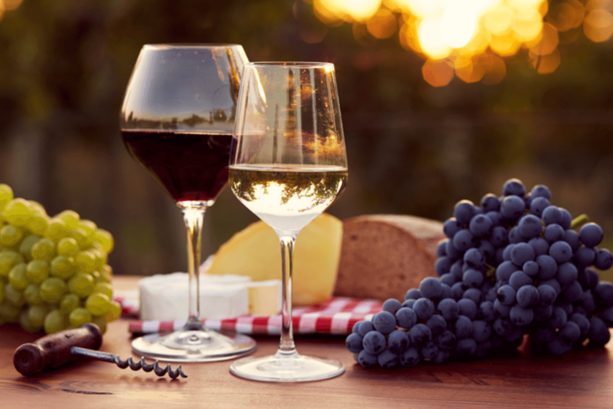 Vintage Post Fermentation Wine Quality Control Workshop