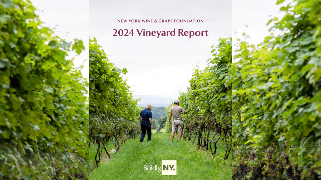 New Report Fills 13-Year Void for New York’s Wine Grape Industry