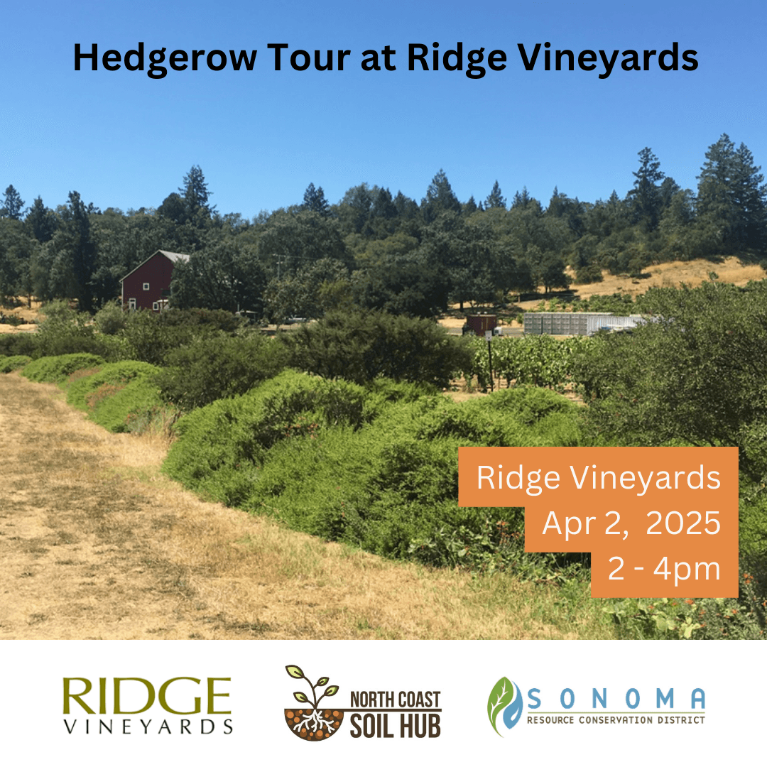 Hedgerow Tour at Ridge Vineyards