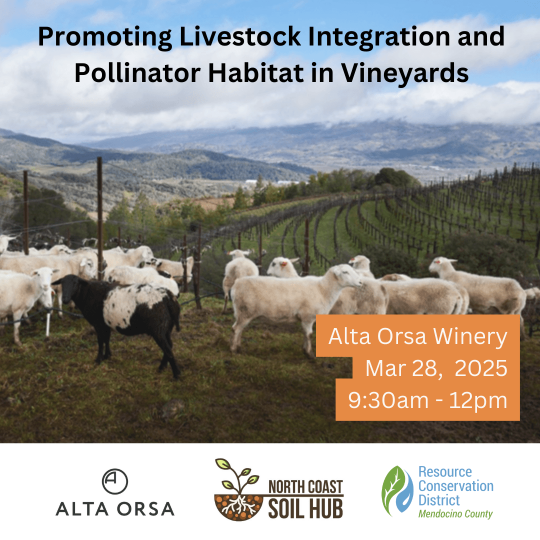 Promoting Livestock Integration and Pollinator Habitat in Vineyards