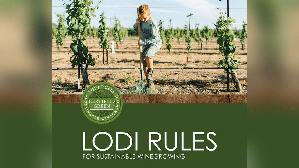 Twenty Years of Groundbreaking Lodi Rules Sustainable Winegrowing Certification