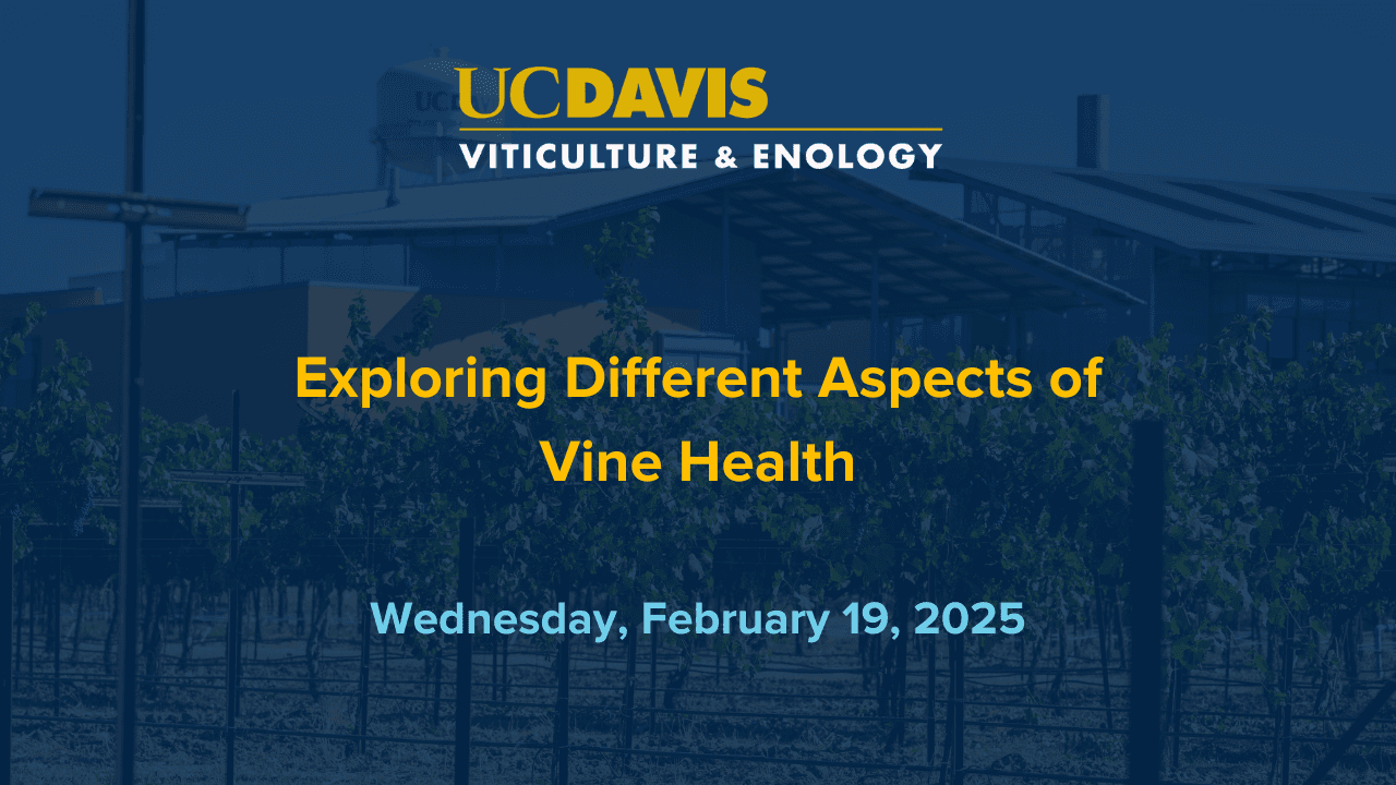 Exploring Different Aspects of Vine Health