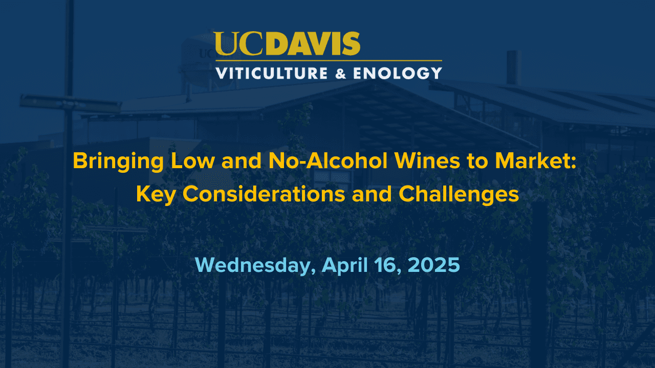 Bringing Low and No-Alcohol Wines to Market: Key Considerations & Challenges