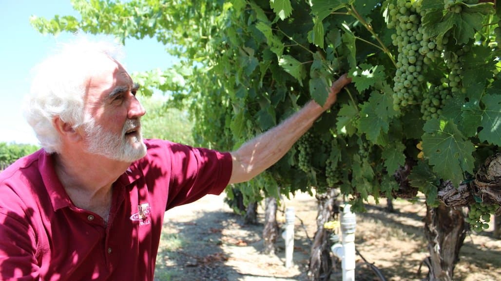 New Legislation Aims to Boost Farmworker Pay and Support Ag Employers